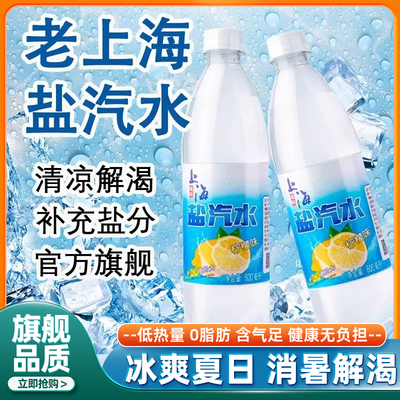 老上海盐汽水官方旗舰店延中牌柠檬味碳酸饮料整箱600ml*24瓶