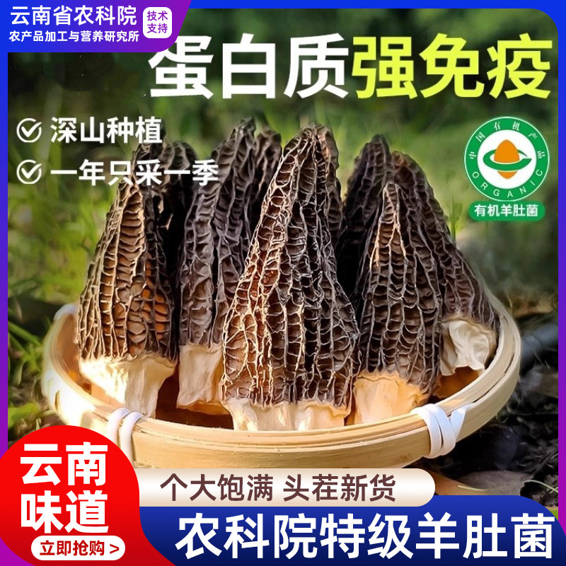 胖超市东来云南特级干羊肚菌野生羊肚菌干货礼盒正品官方旗舰店,粮油调味/速食/干货/烘焙,羊肚菌,淘宝优惠券,粉丝福利购,淘宝优惠卷