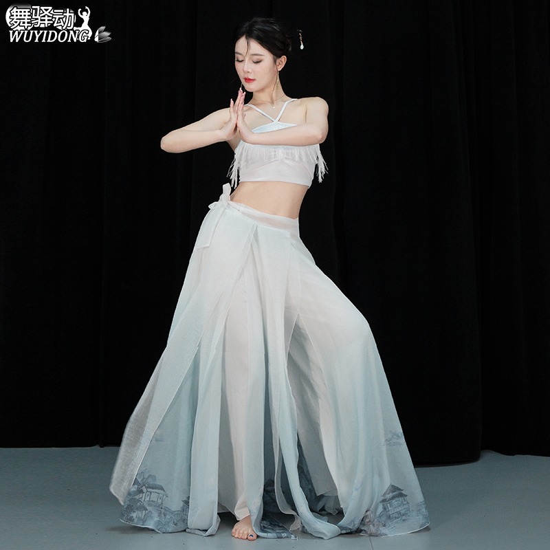 古典舞国风舞蹈服艺考练功服女