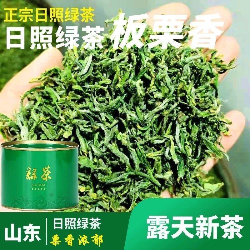 2024新茶日照绿茶特级明前头采高档茶叶板栗豆香型春茶山东特产
