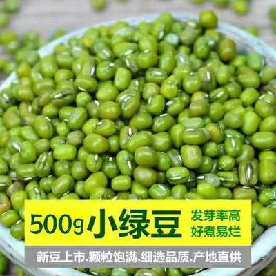 500g东北农家小绿豆 一斤新鲜绿豆 消暑五谷杂粮粗粮 煮粥 糖水