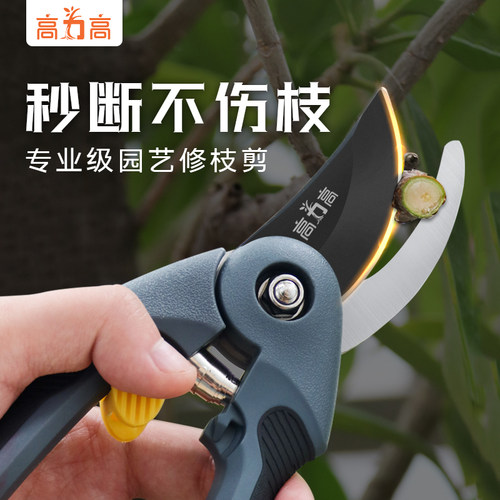 高力高园艺修枝剪刀果树园林花艺