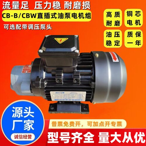 CB-B6/B10/B4/B2.5齿轮泵液压油泵电机组370W/550W润滑油泵头总成