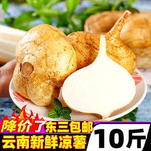 凉薯新鲜云南白心地瓜萝卜水果沙葛土番薯农家特产9斤即食大果10