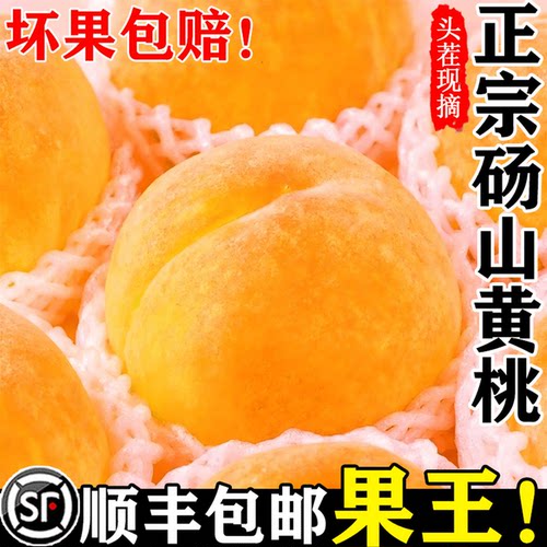 正宗砀山新鲜黄桃【当季爆款】