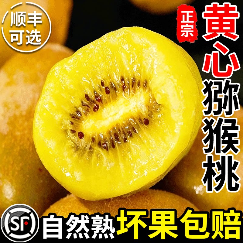 四川黄心猕猴桃奇异果新鲜应当季新鲜水果孕妇现摘整箱弥猴桃包邮