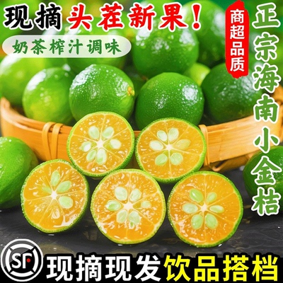 一级好果，饮品搭档，海南小金桔