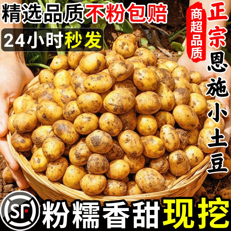 正宗恩施小土豆现挖湖北新鲜黄心土豆当季蔬菜整箱迷你马铃薯洋芋