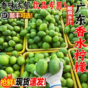 广东香水柠檬新鲜无籽香柠檬暴打鸭屎香青柠精选一级果奶茶店专用