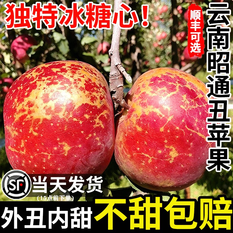 正宗云南昭通丑苹果·脆甜多汁