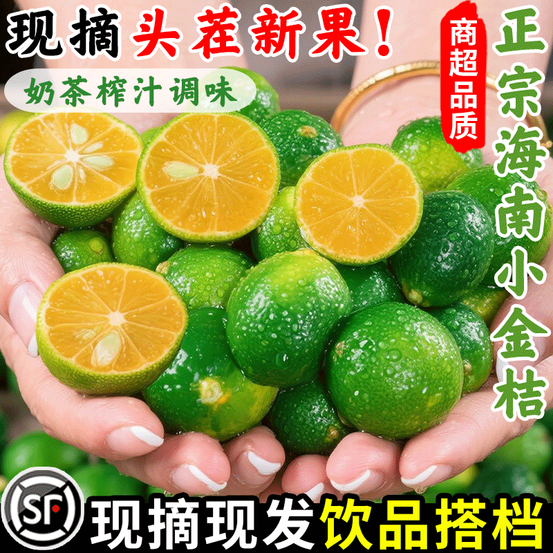 海南小金桔5斤小青柠新鲜青柑青桔皮薄当季水果青柠檬奶茶店专用