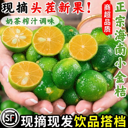 一级好果，饮品搭档，海南小金桔