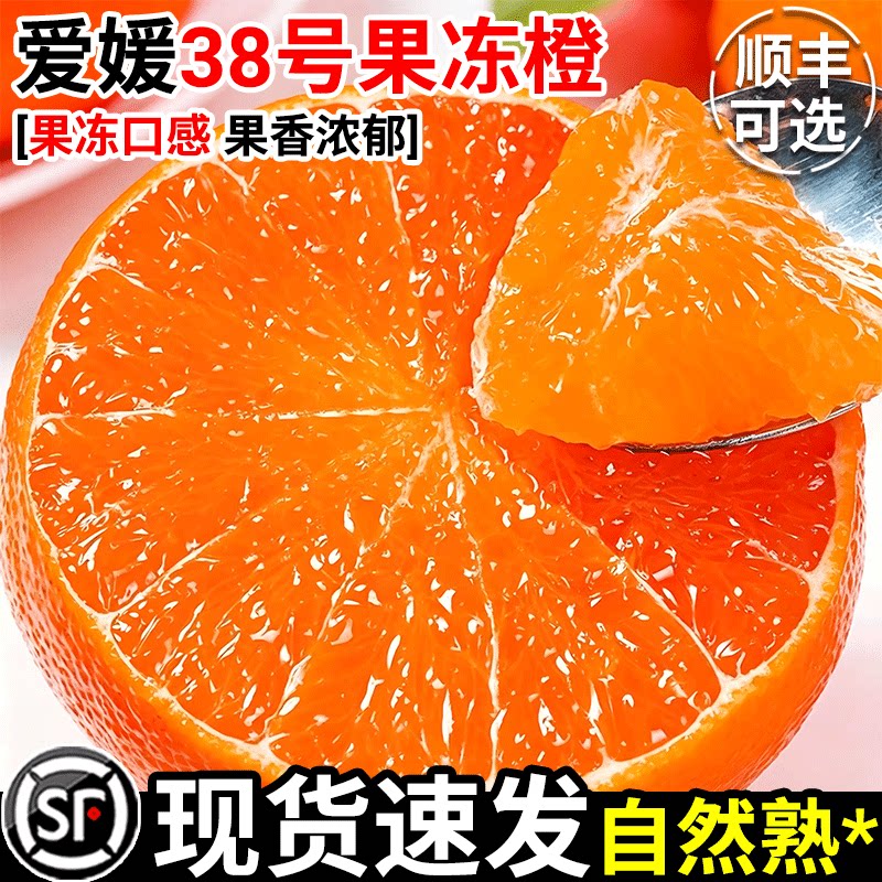 正宗爱媛38号果冻橙10四川当季新鲜水果整箱斤手剥榨汁专用大橙子