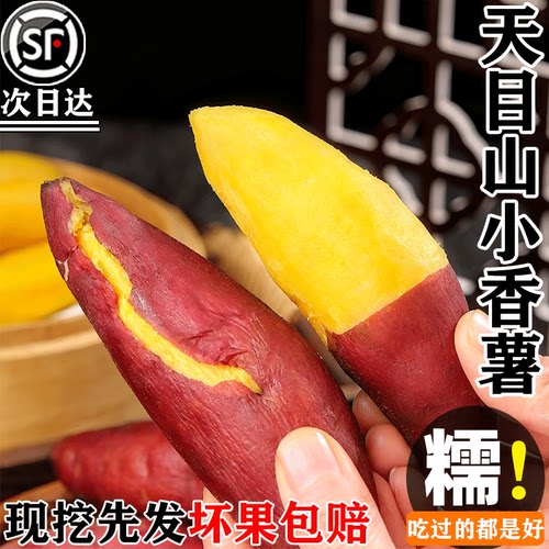 天目山小香薯【官方力荐】