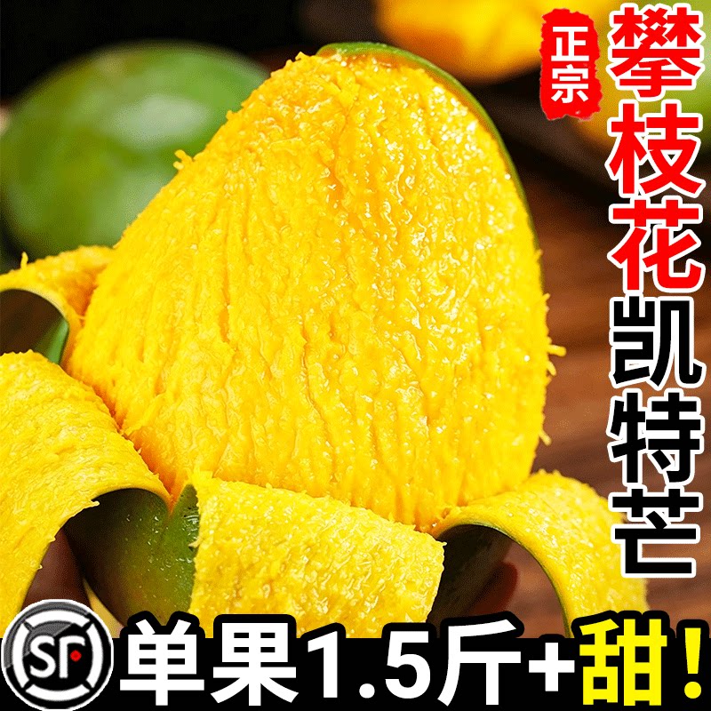【限时疯抢】特大凯特芒仅限1单