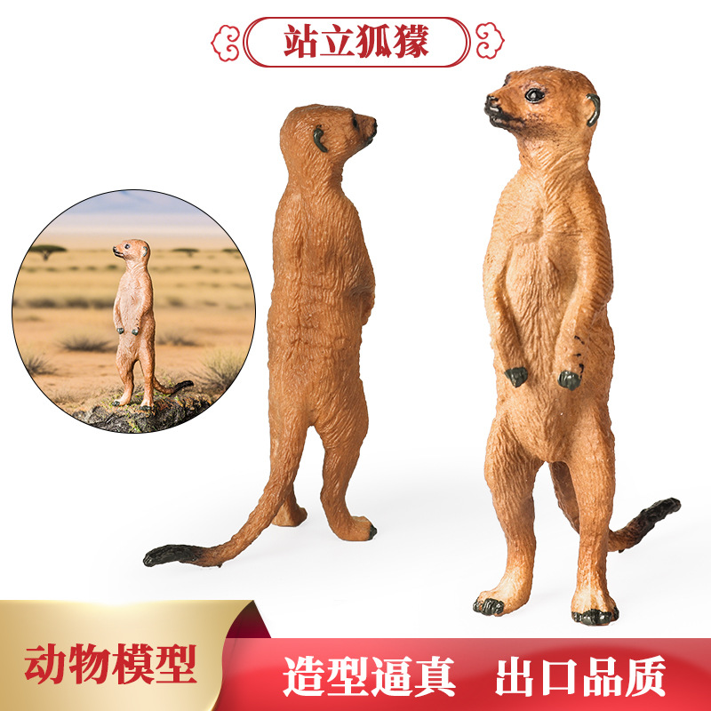 仿真实心野生动物模型细尾獴狐