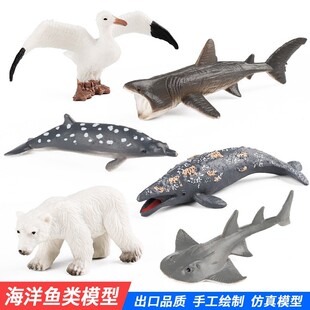 儿童认知科教仿真海洋动物模型套装信天鸽灰鲸姥鲨玩具摆件