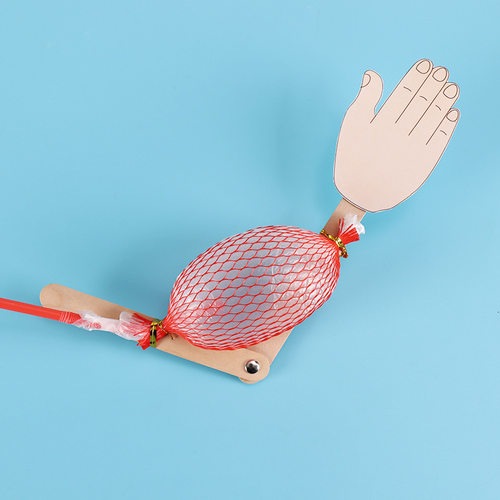 科技小制作发明骨骼与肌肉幼儿园