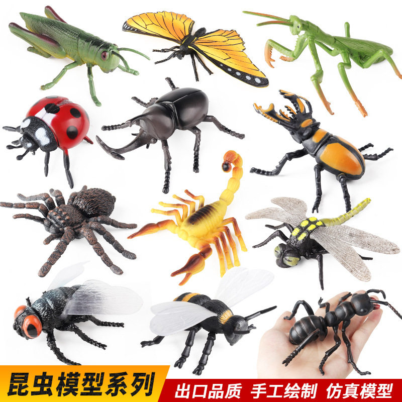 仿真昆虫模型玩具儿童认知蝴蝶蜻蜓蚱蜢蜘蛛蚂蚁蝎子苍蝇七星瓢虫