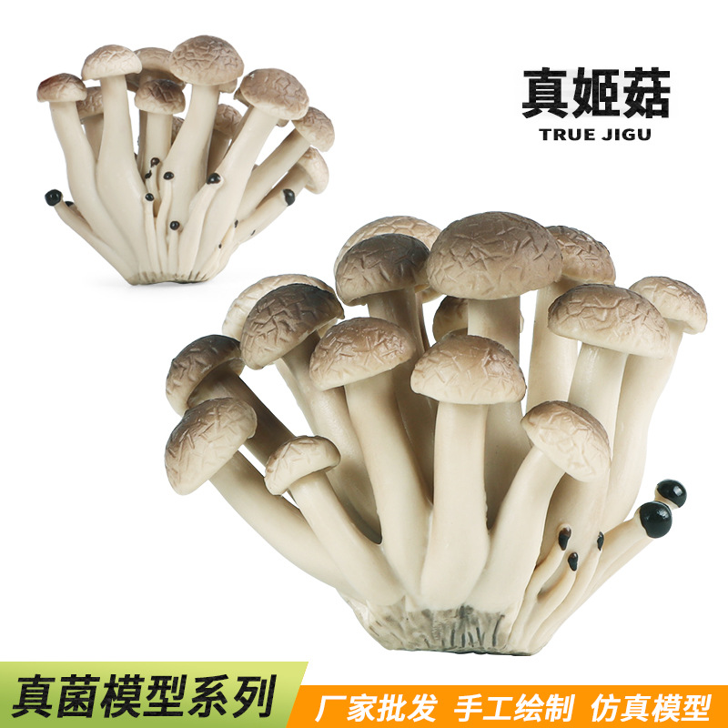 仿真食物工艺品真姬菇香菇平菇