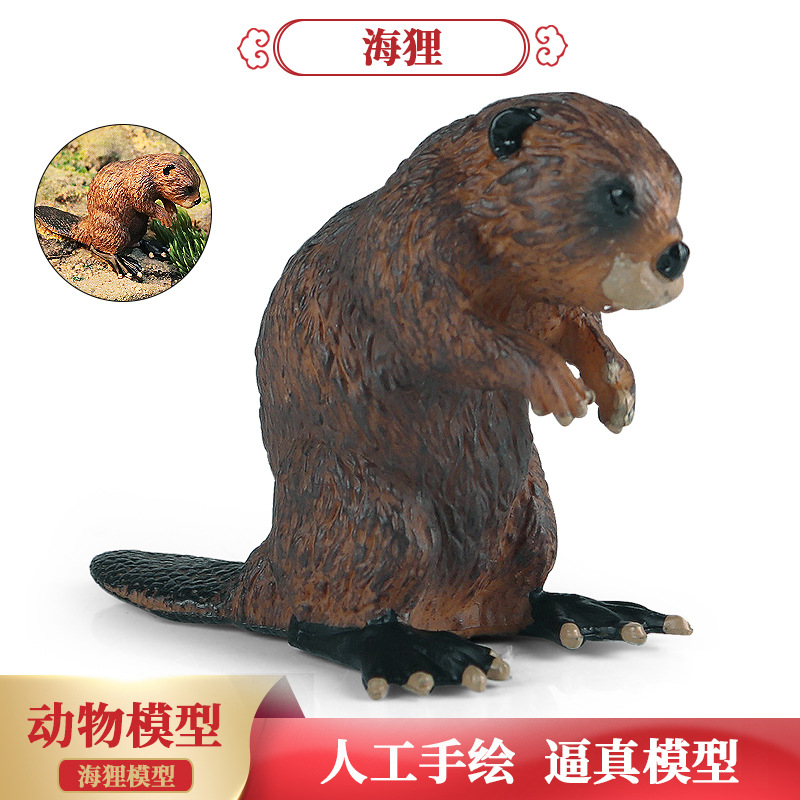 仿真海狸动物河狸貂鼠玩具认知礼品实心儿童桌面认知手办模型