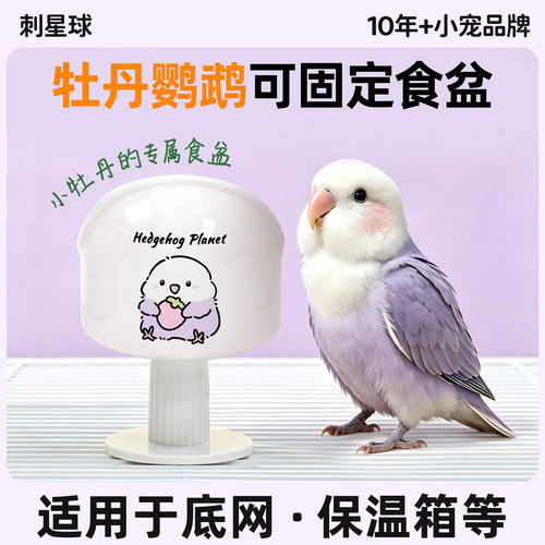 刺星球圆顶陶瓷防撒食喂食器