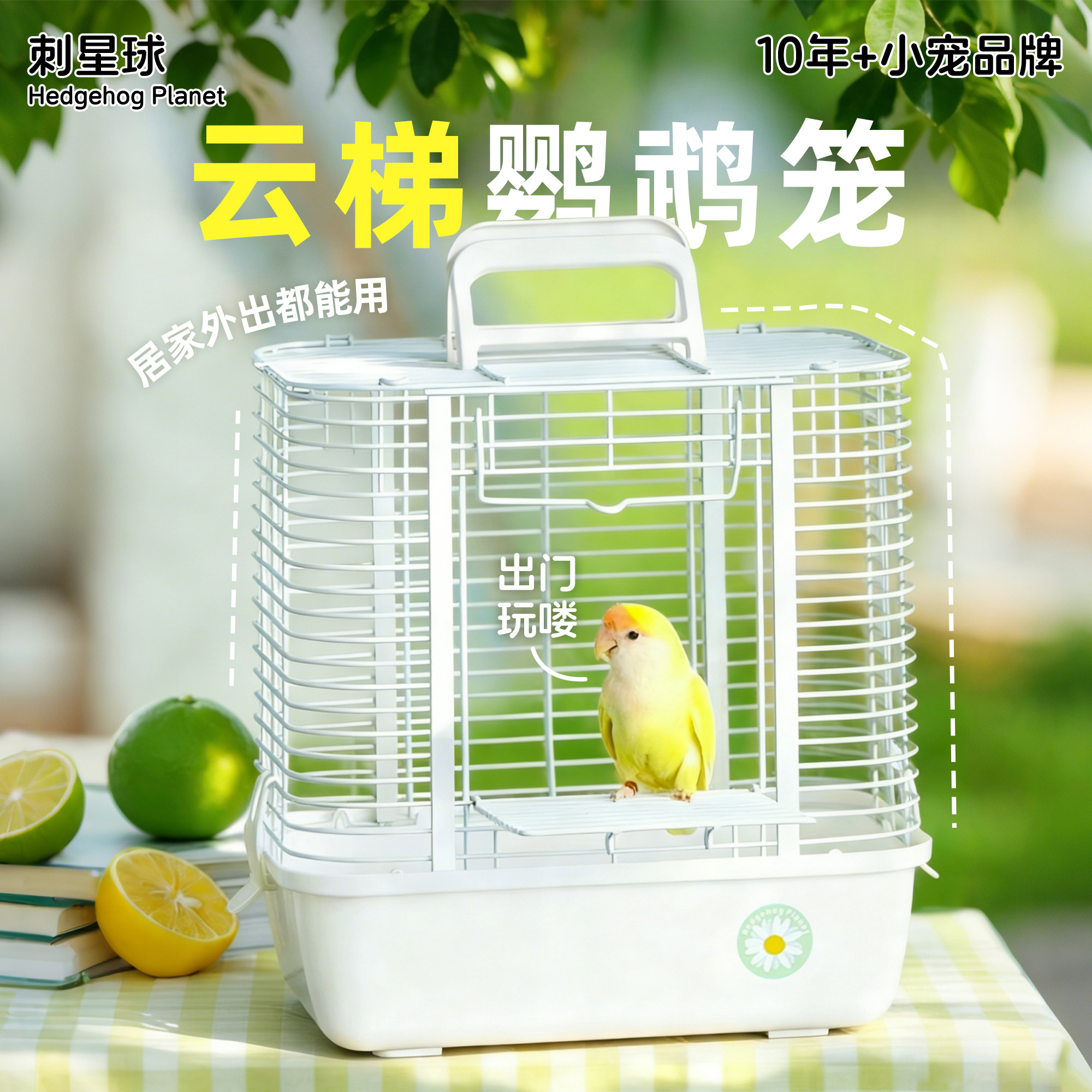 外带笼结实耐用加密小型宠物外食笼家养牡丹文鸟