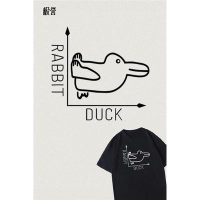 兔鸭错觉MathGrpDwingPlo