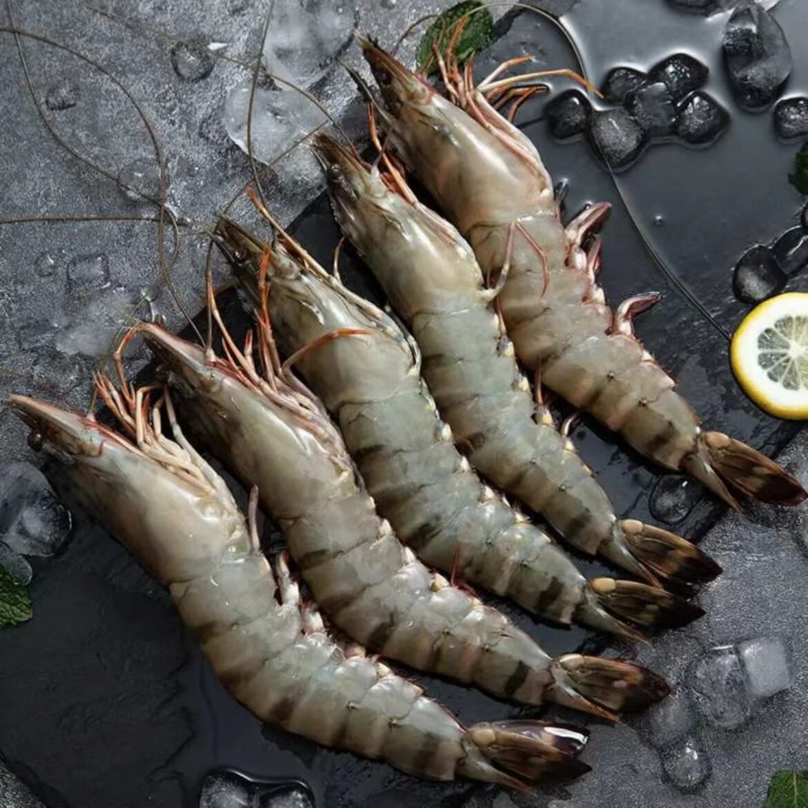 活冻黑虎虾 20头左右/斤 东山岛竹节虾金刚虾 速冻冷链包邮