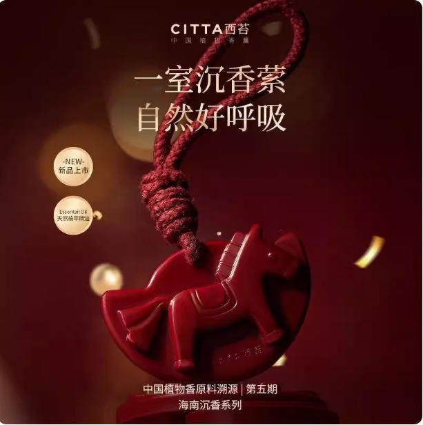 海南沉香系列 持久留香家居衣橱马上有钱香薰蜡片