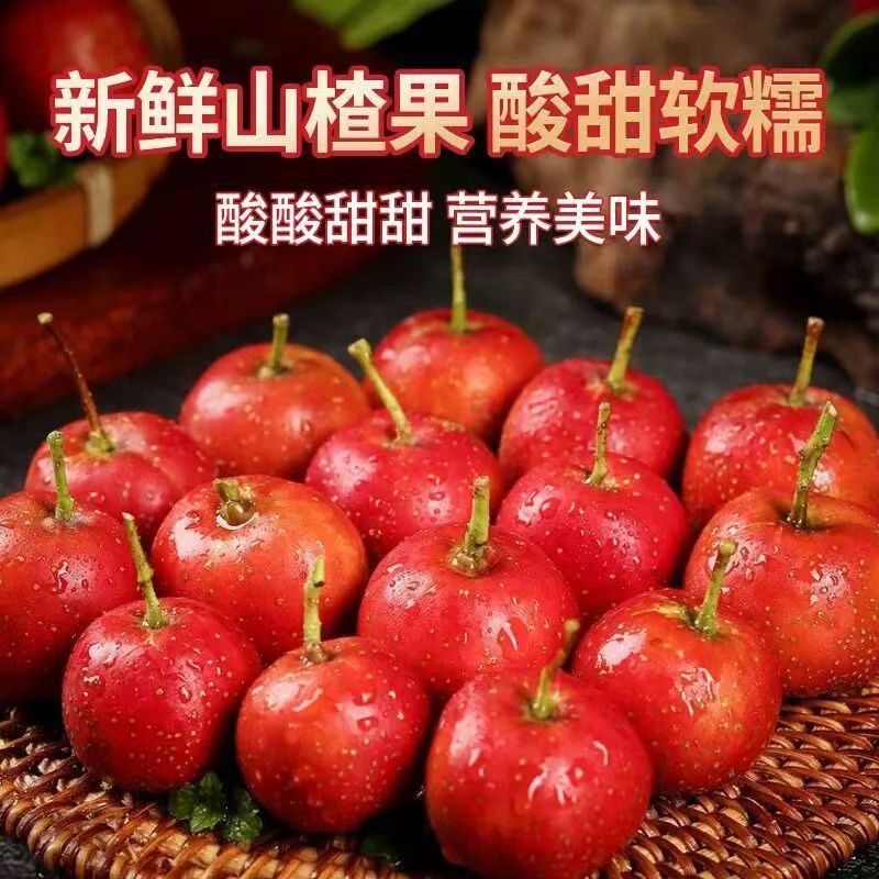 【果园直发】山楂鲜果大果