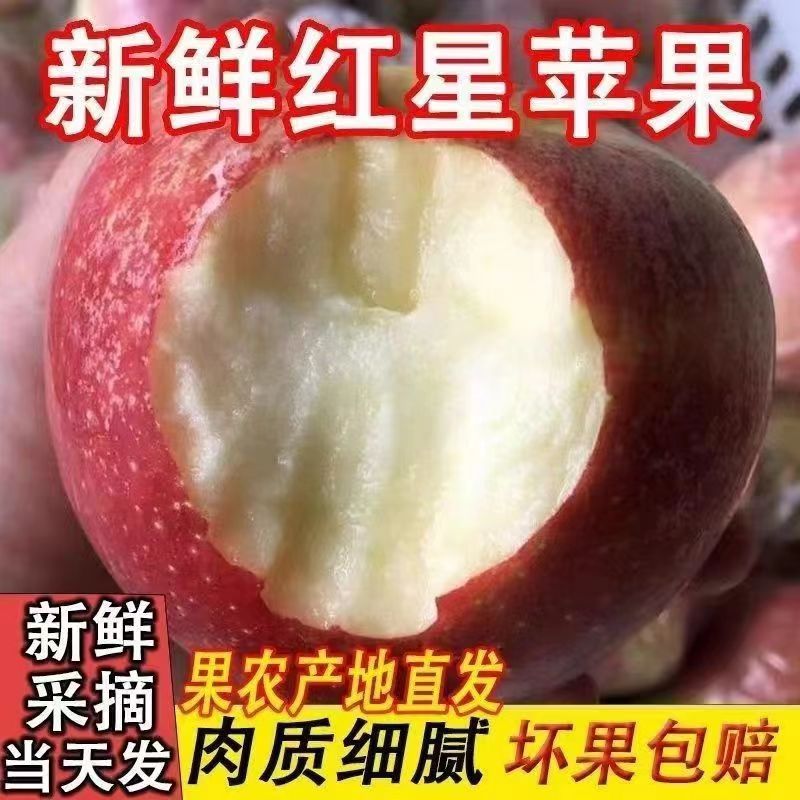山西当季新鲜粉面沙甜红星苹果