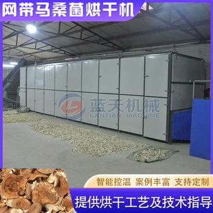 野马桑烘干设备 全自动香菇野生食用菌菇干燥机 网带马桑菌烘干机