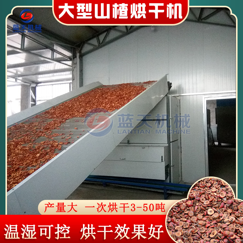 山楂烘干机 全自动山楂去核切片烘干生产线 网带式山楂片烘干设备