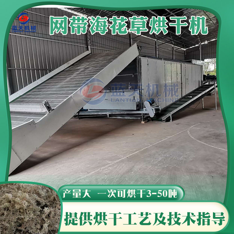 海花草烘干机 连续式龙须菜海藻海草干燥机 石花菜马尾藻烘干设备