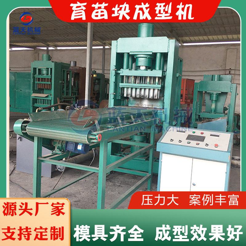 盐片液压成型机 方块鱼饵料灭蚊片水烟炭压块机 大型育苗块成型机