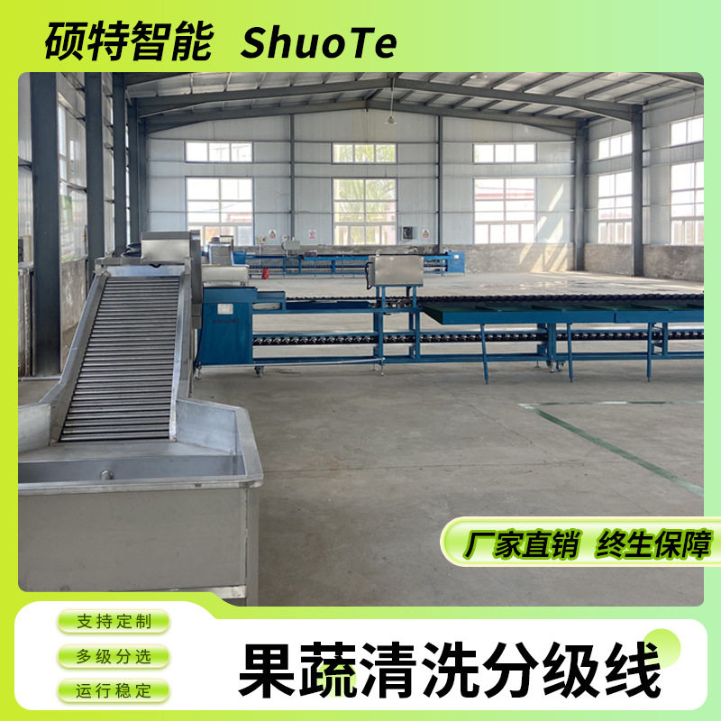 砂糖橘重量分选机 柑橘类水果清洗分拣流水线 脆柿子称重分级机