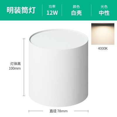 商店商业高功率暴露顶棚筒灯24W30W大尺寸无孔大瓦数顶棚筒灯