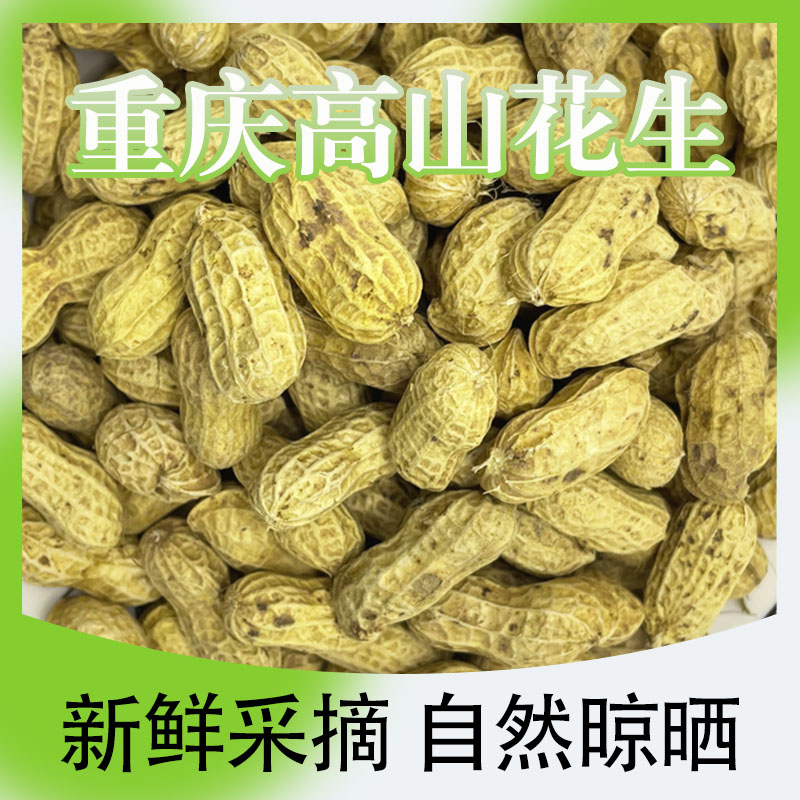 （粉皮花生）干花生农村自家种植今年新鲜干花生高山种子花生下酒