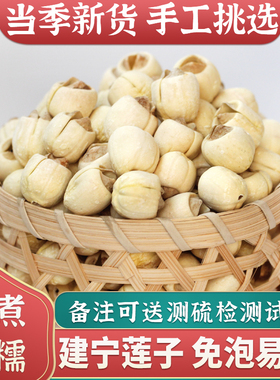 2025年新货无熏硫建莲大颗粒500g白莲子干货无心去芯软糯福建建宁