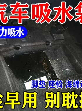 永不再潮】汽车进水吸水神器防潮