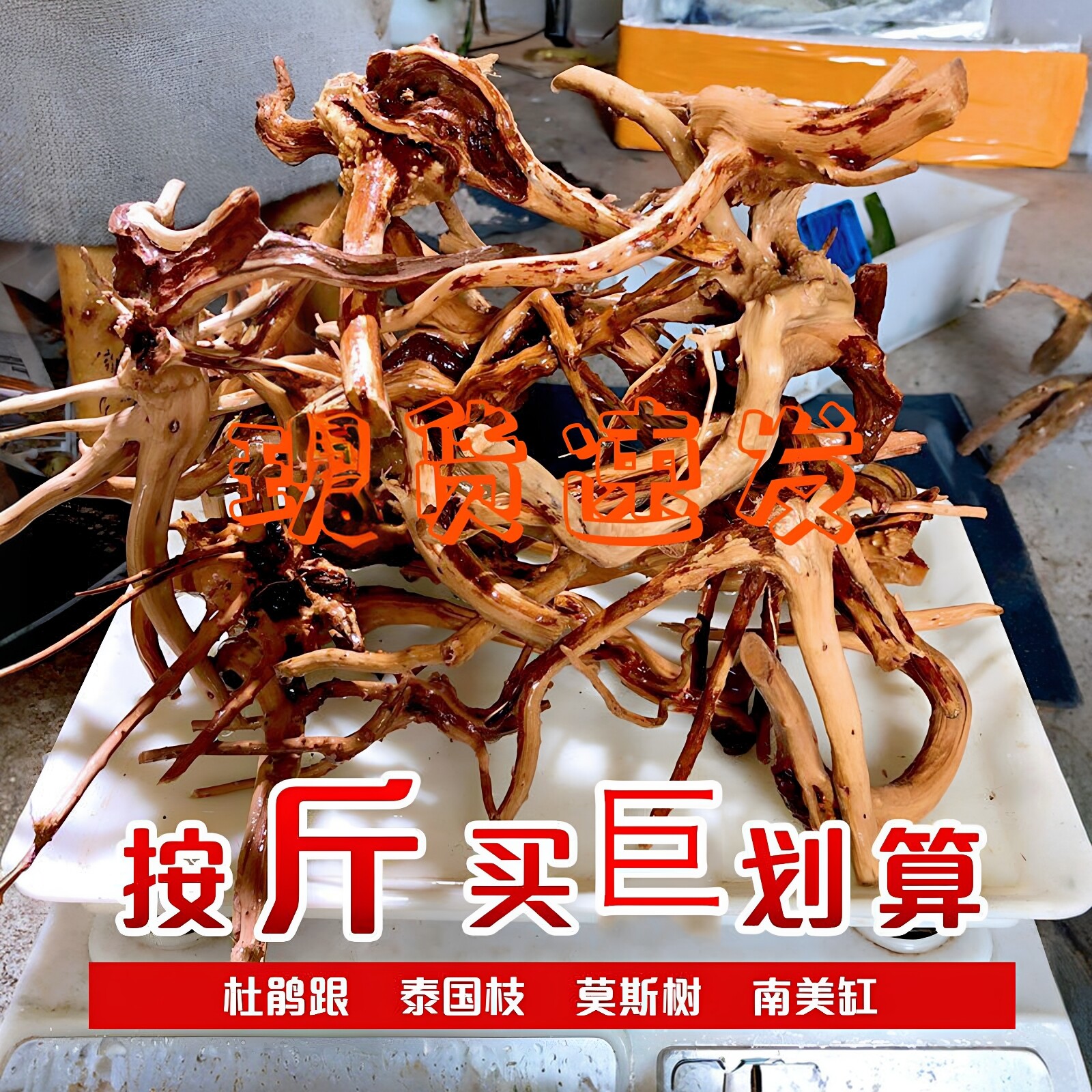 天然杜鹃根栖根紫柚木沉木鱼缸水草缸树枝树根造景沉木一木成景