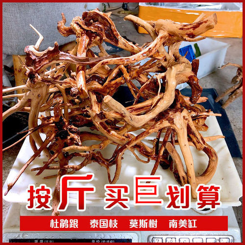 天然杜鹃根栖根紫柚木沉木鱼缸