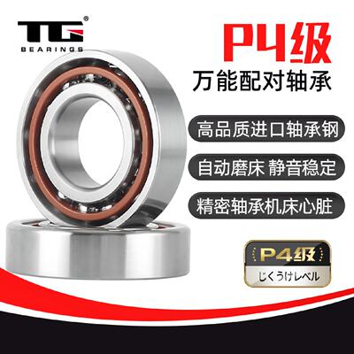 角接触球轴承7007 7008 7009 7010 7011 7012 7013 CTA/P4 SUL
