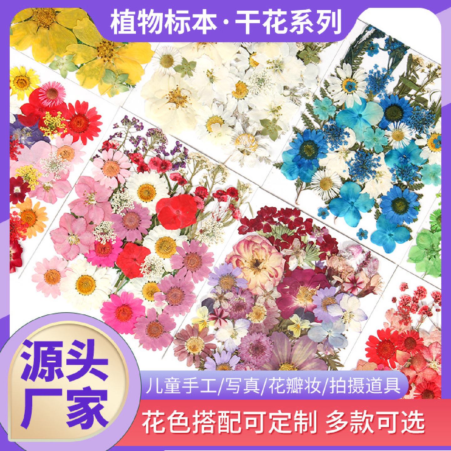 干花压花diy组合材料押花相框书签滴胶手机壳脸部贴真花植物标本