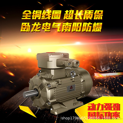 卧龙电气南阳防爆电机YE4二级能效电机三相异步电动机效率高