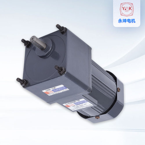 小型齿轮减速电机5系列120W小功率永坤220v微型交流单相减速电机