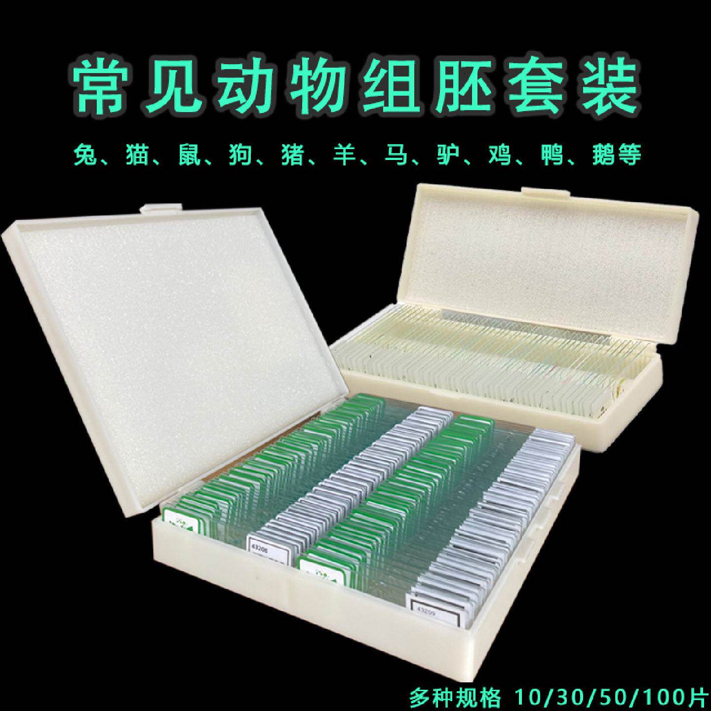 生物显微镜标本切片动物组胚切片载玻片儿童观察实验套装教具学生