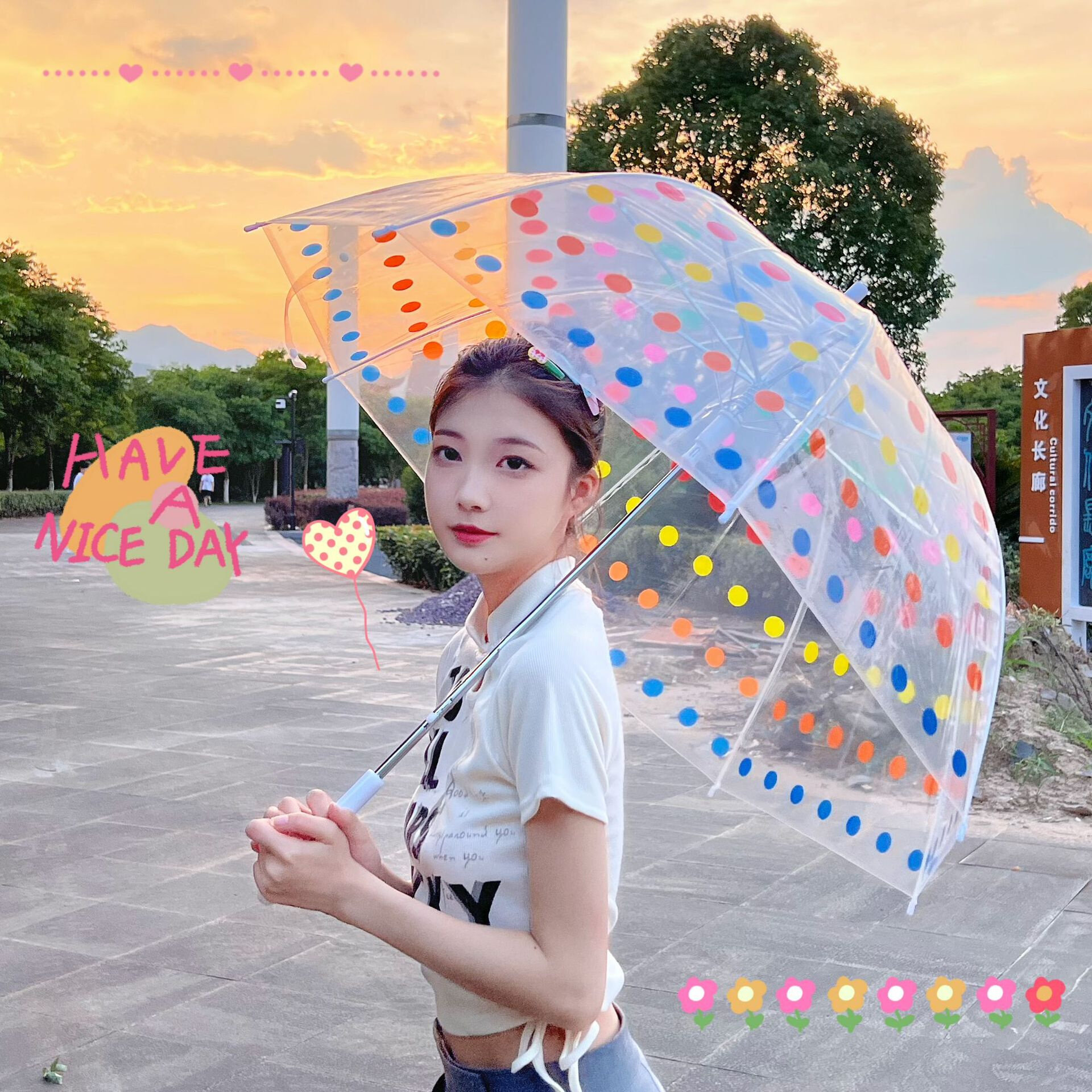 现货批发大人彩色圆点雏菊阿波罗拱形透明雨伞韩系网红拍照道具伞