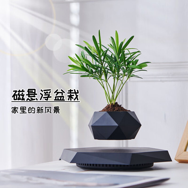 磁悬浮盆栽新奇特花盆创意盆景工艺品礼品教师节礼物客厅摆件批发